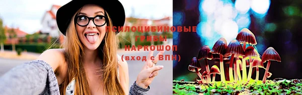 spice Гусиноозёрск