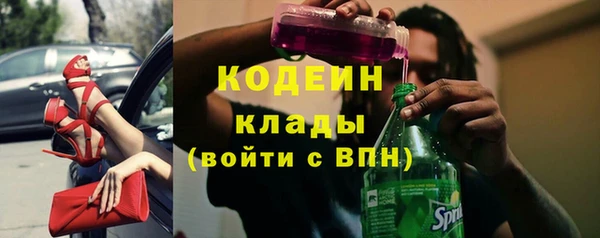 2c-b Гусев