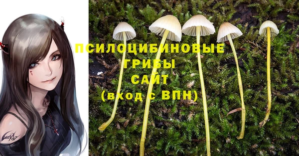 spice Гусиноозёрск
