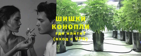 spice Гусиноозёрск