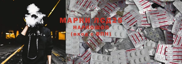 spice Гусиноозёрск