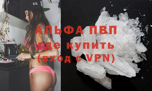 2c-b Гусев