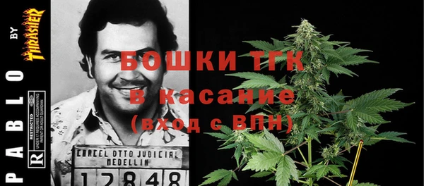 2c-b Гусев