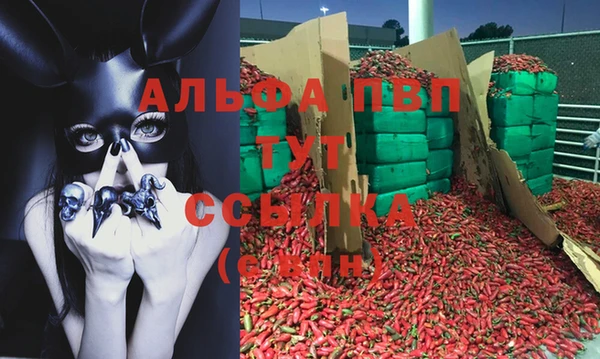 2c-b Гусев