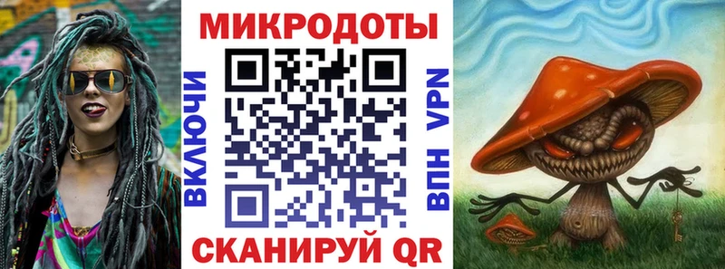Галлюциногенные грибы Psilocybe  хочу   мориарти как зайти  Гаврилов Посад 